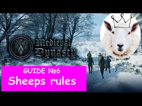 Medieval Dynasty. Guide 6. Sheep is a top of economy in 1.0.9.0