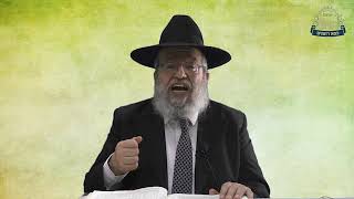 דף היומי בחצי שעה - סוכה דף ט"ז