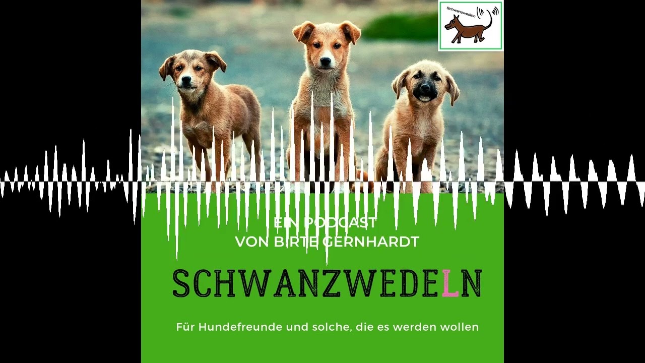 98 The PHYSIO -Tierliebe, Therapie, ganzheitliche Tiergesundheit - Schwanzwedeln