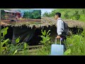 Full Video CEO Leaves The City For The Forest To Restore An Abandoned House And Build A New Life