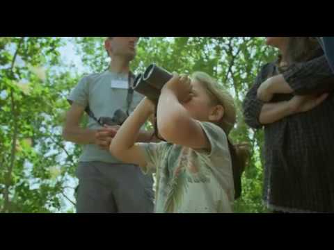 Attractions Naturelles - Vallée de la Drôme