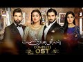 Yeh Na Thi Hamari Qismat OST Nabeel Shaukat Ali Yashal Shahid ARY Digital