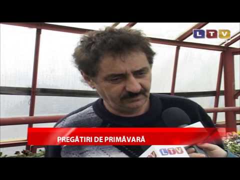 Orașul Cernavoda se pregătește să întâmpine primavara așa cum se cuvine - Litoral TV