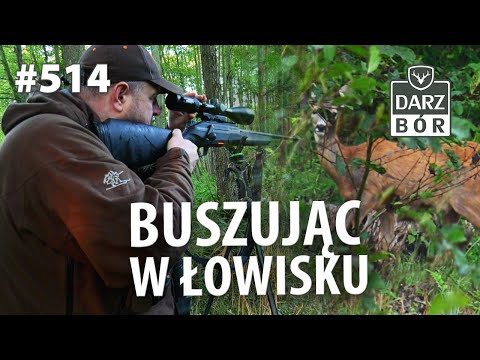 Darz Bór odc. 514 Gdzieś pośród gęstwiny…