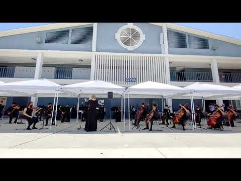 Swamp Thang (Richard Meyer) Chamber Orchestra 2021