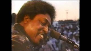 You Got To Pay The Cost Johnny Shines