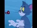 CN SAYIN Challenge Week 2 January 2016 1