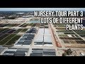 🌿Big Plant Nursery Tour P3 - Lots of Different Plants🏡