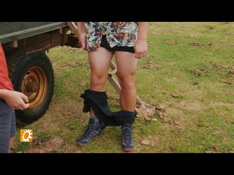 Onderbroekenlol met de familie Pos - RTL BOULEVARD