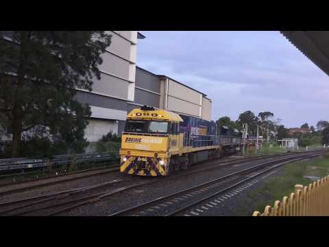 Adz' Transport Vlogs - Vlog 126:  7WB3 and 8148 at Marrickville