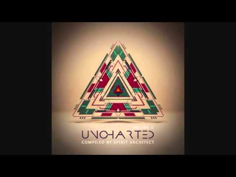 DigiCult vs DNA - Rite Of Passage (Space Tribe Remix)