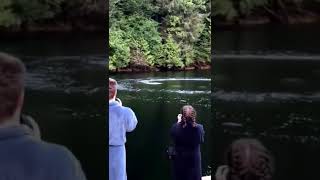 Deep Blue ?? #shorts #viral