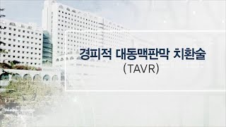 경피적 대동맥 판막 치환술  미리보기