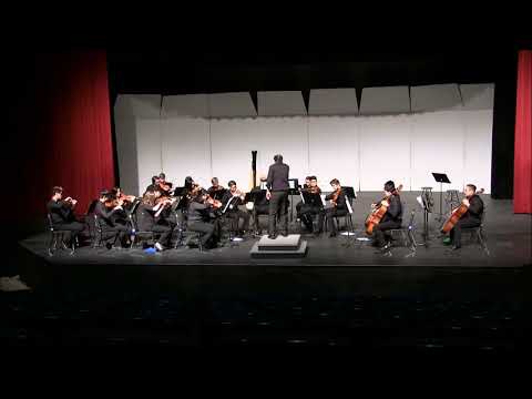 NCP Chamber Strings: Soon Hee Newbold, Orion and The Scorpion at 2019 IHSA Contest