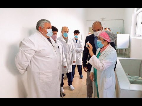 En Salta se produce un larvicida para controlar la población de mosquitos