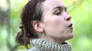 Alessi's Ark - Bird Song | The Wild Honey Pie Buzzsession