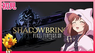 【 FF14 】 初見 　漆黒のヴィランズ 　メインストーリー　Ver.5.3　ファイナルファンタジーXIV  FINAL FANTASY XIV　25.12.29　ネタバレあり