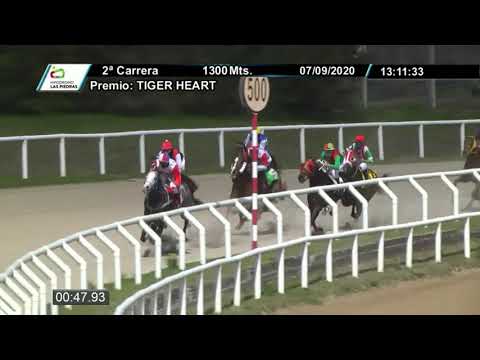 07/09/2020 – Hipodromo Las Piedras – Carr 2 – TIGER HEART