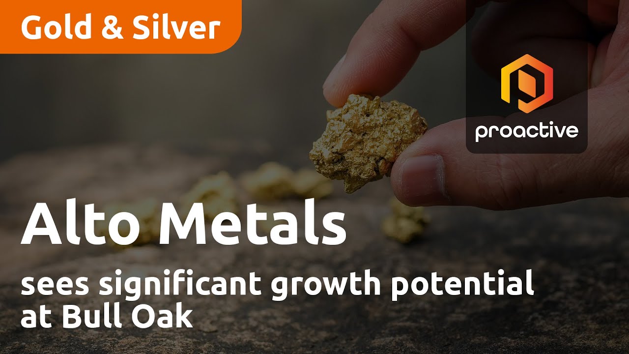 Alto Metals sees significant growth potential at Bull Oak