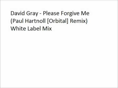 David Gray - Please Forgive Me (Paul Hartnoll Remix).wmv