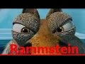 Rammstein - Tier (HD) 