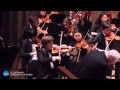 Ludwig van Beethoven: Symphony No.9 in D minor, Op.125 - Mvmt II