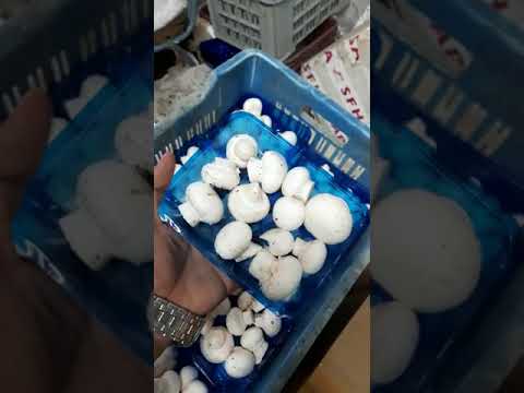 A grade pan india organic white button mushroom 1kg packing,...