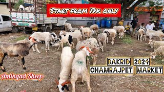 Bakrid 2024 Chamrajpet Sheep market #9902236542 Full detail video