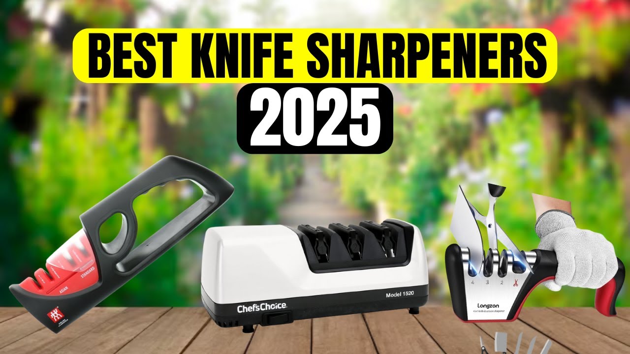 The 4 Best Knife Sharpeners of 2025