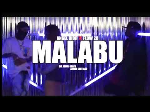 Angel Dior × Flow 28 - MALABU