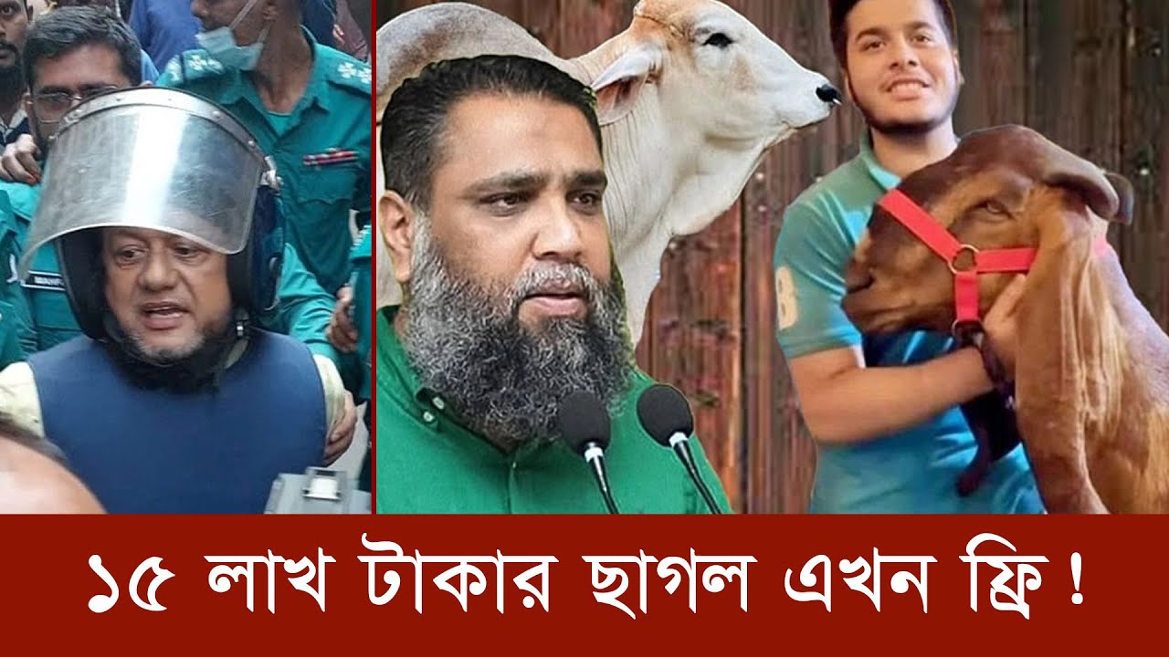 ছাগলকান্ডের ভাইরাল ছাগলটি এখনো বিক্রি করতে পারেনি সাদিক এগ্রো | Sadeeq Agro | Viral Goat | TheReport