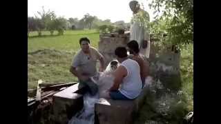 preview picture of video 'lahori mundy in travel  video 1'