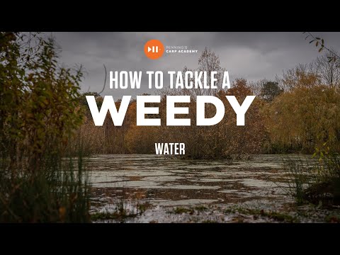How Adam Penning Tackles a Weedy Lake | Carp Fishing Advice