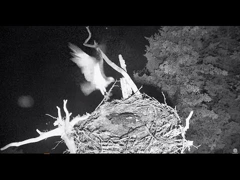 Rachel hears or sees something, goes after it and crashes 2017 07 23 00 34 29 545