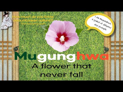 [sub] Mugunghwa, a flower that never fall | 🤔 How much do you know about Korean culture❓