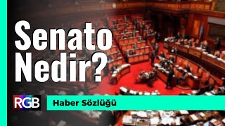 Sansasyonel, Müzakere, Senato, Rafine, Komplikasyon / Haber Sözlüğü #7