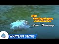 En Bommukutty Ammavukku Movie Songs Kanne Navamaniye Whatsapp Status Sathyaraj Suhasini