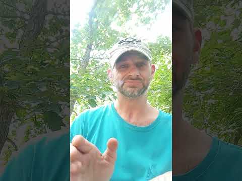 Free Kratom Samples Reddit