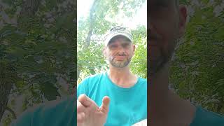 Harvest Kratom free samples review