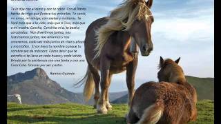 Luis Alberto Spinetta - Será que la canción llegó hasta el sol