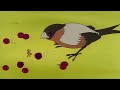 The Value Of A Bird Albert Says Nature Knows Best Staffel 1 Ep 3 Full Episode