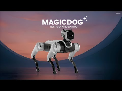 MagicDog-W Review Video 4