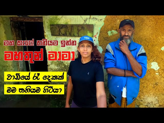NO Signal | මහ කැලේ වාඩියක තනියම ගෙවූ රාත්‍රීන් දෙකක් | KELLA 🇱🇰 SDDEFAULT Thumbnail