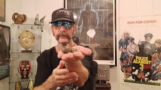 Flora | Hawaiian Rain x Permanent Marker | Weed Review 