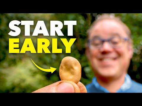 The Clever Reason Smart Gardeners Start Seeds in Milk Jugs