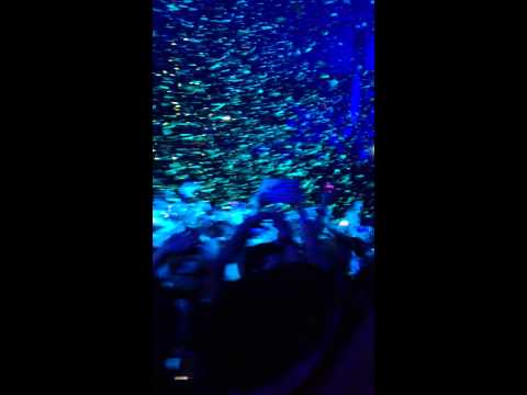 I Am Hardwell San Francisco (intro)