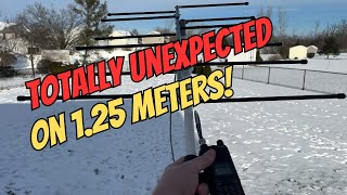 Surprise Simplex on 1.25m with the Elk Log Periodic Antenna