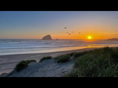 🌊🅻🅸🆅🅴🌊Cape Kiwanda Beach Cam 🌅Live Pacific City 🌊Oregon Coast 24/7🏖️✨Surf & Beach Live WebCam
