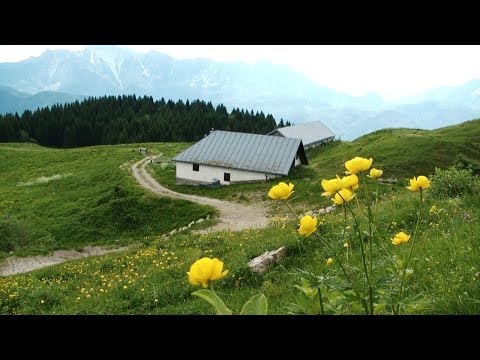 Anello del Monte Dauda da Fielis