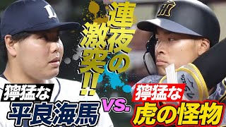 [分享] 今日 平良海馬